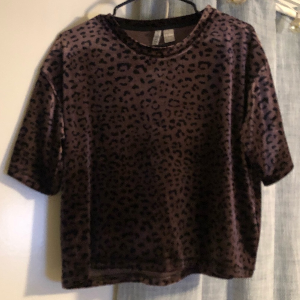 DIVIDED Purple Velvet Crop Top T-shirt